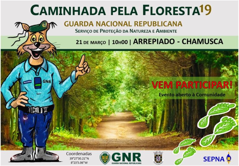 Caminhada pela Floresta 2019﻿ com a GNR