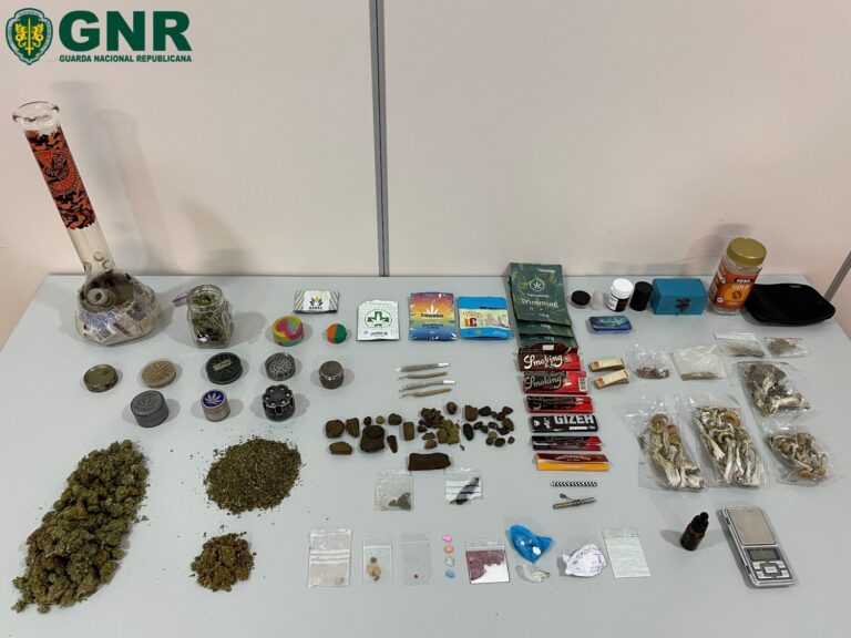 GNR faz 20 detidos por tráfico de estupefacientes, posse de arma proibida e posse de notas falsas